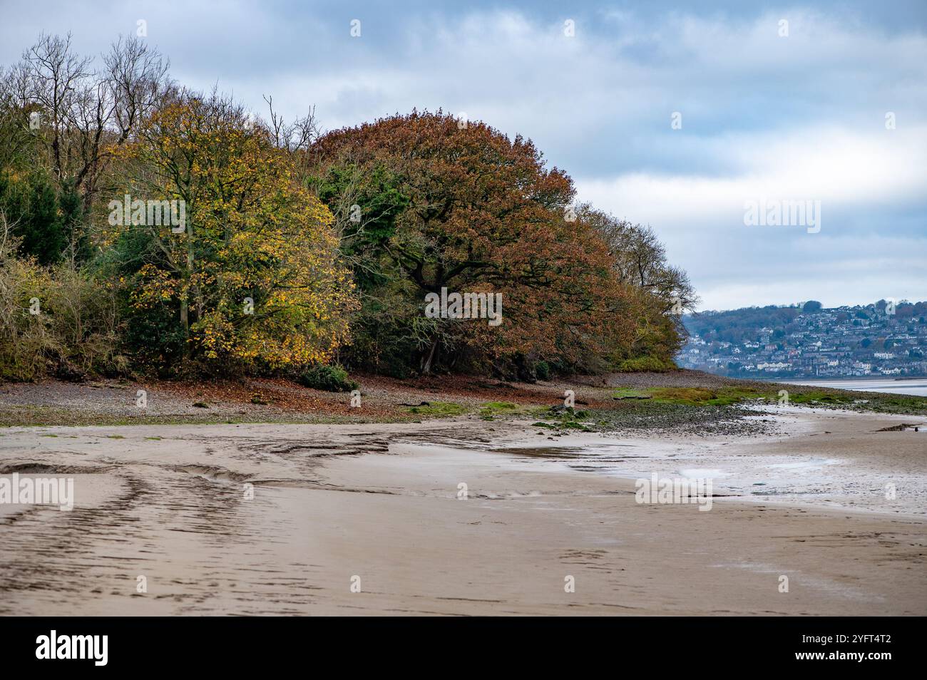 Autumn view, Arnside, Milnthorpe, Cumbria, UK Stock Photo