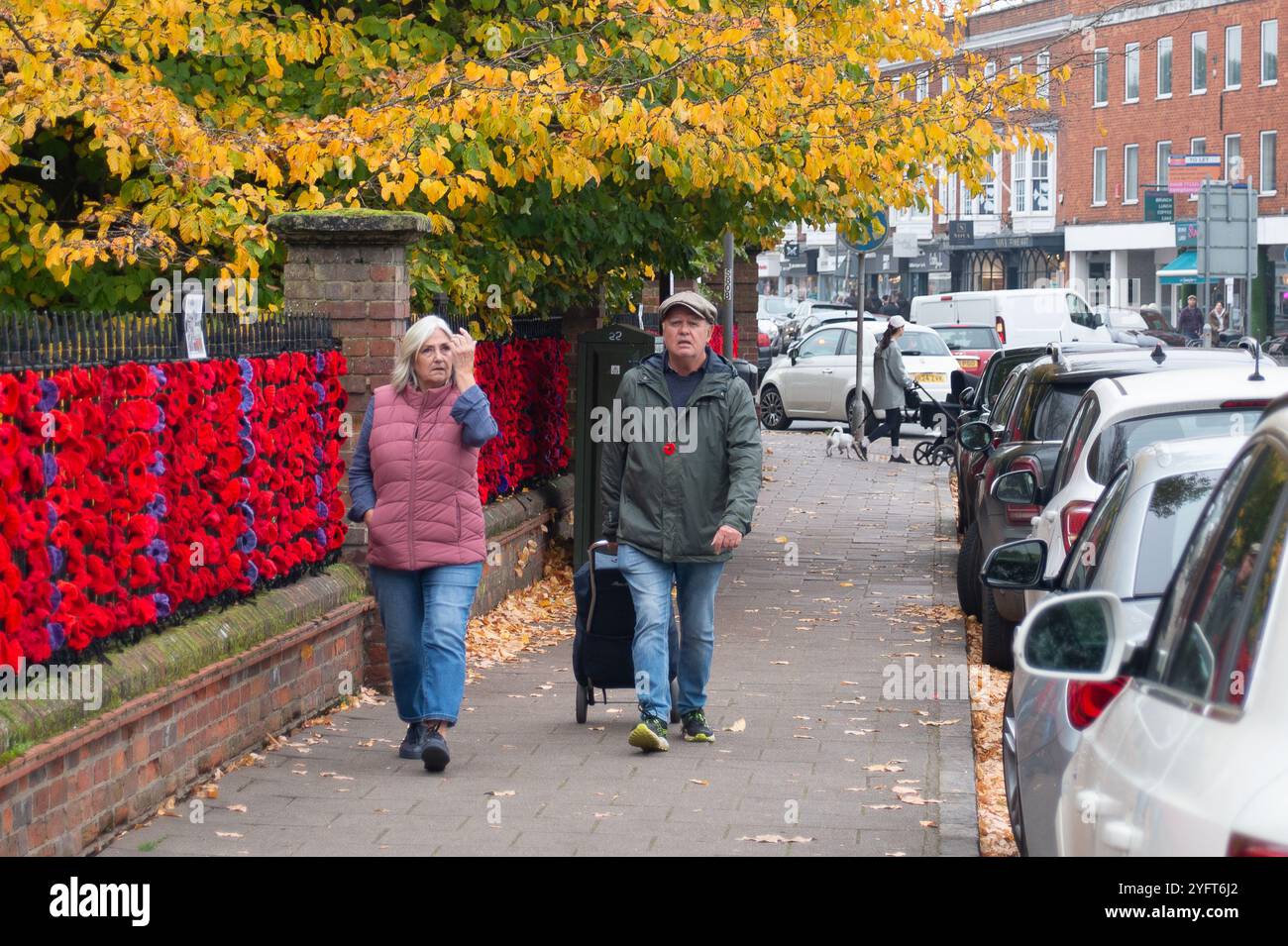 Marlow, Buckinghamshire, UK. 5th November, 2024. The Marlow Poppy Display Group of local ladies, have been busy making thousands of knitted and crocheted poppies which are now displayed on the All Saints Church railings and Higginson Park railings by the Causeway in Marlow, Buckinghamshire. Almost nine thousand pounds has been raised by the group since 2020 for the Marlow British Legion Poppy Appeal. Credit: Maureen McLean/Alamy Live News Stock Photo