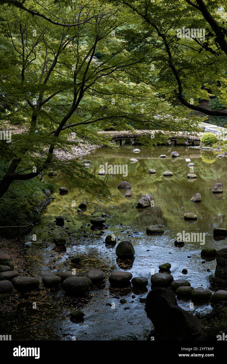 Koishikawa Kōrakuen botanical garden, near Tokyo Dome, Tokyo, Japan © Giorgia De Dato Stock Photo