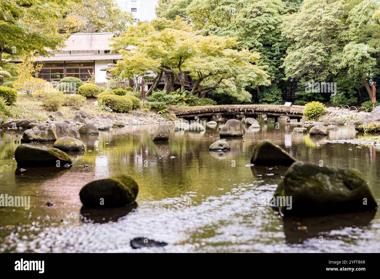 Koishikawa Kōrakuen botanical garden, near Tokyo Dome, Tokyo, Japan © Giorgia De Dato Stock Photo