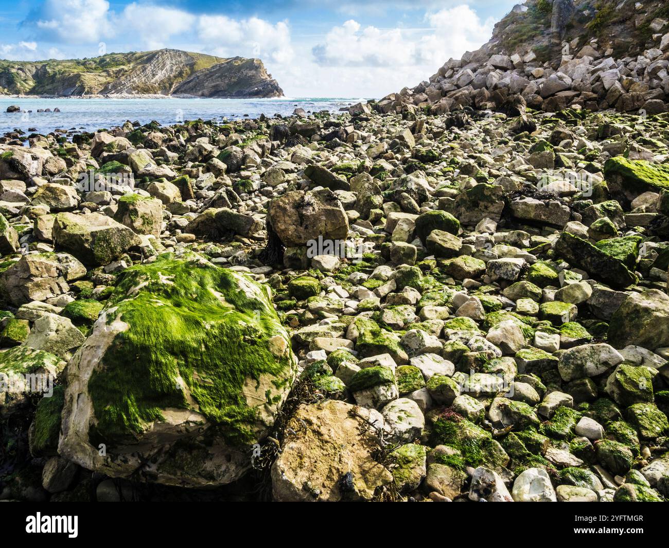 Lulworth Cove on the Jurassic Coast in Dorset. Stock Photo