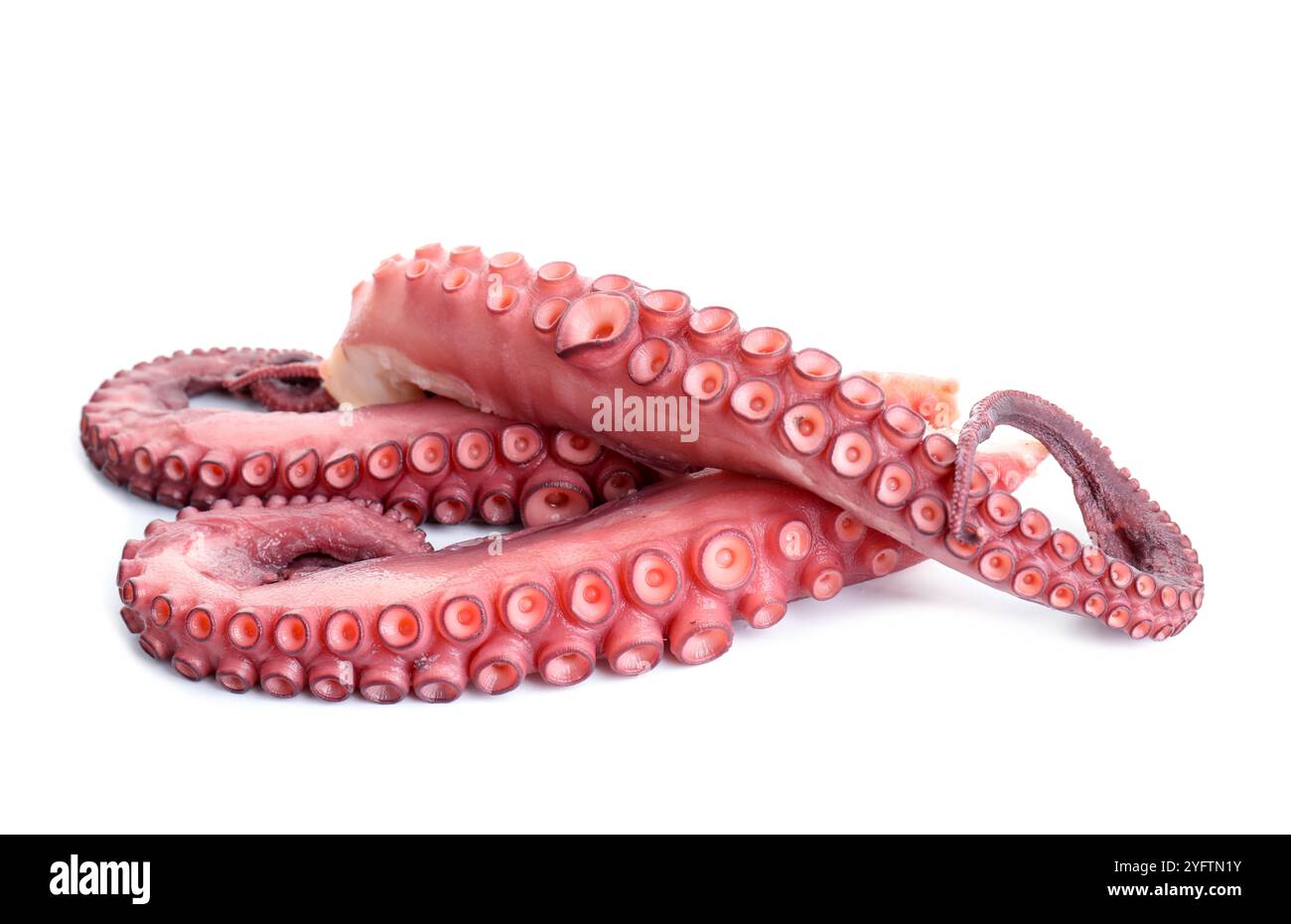 Three raw octopus tentacles isolated on white Stock Photo - Alamy