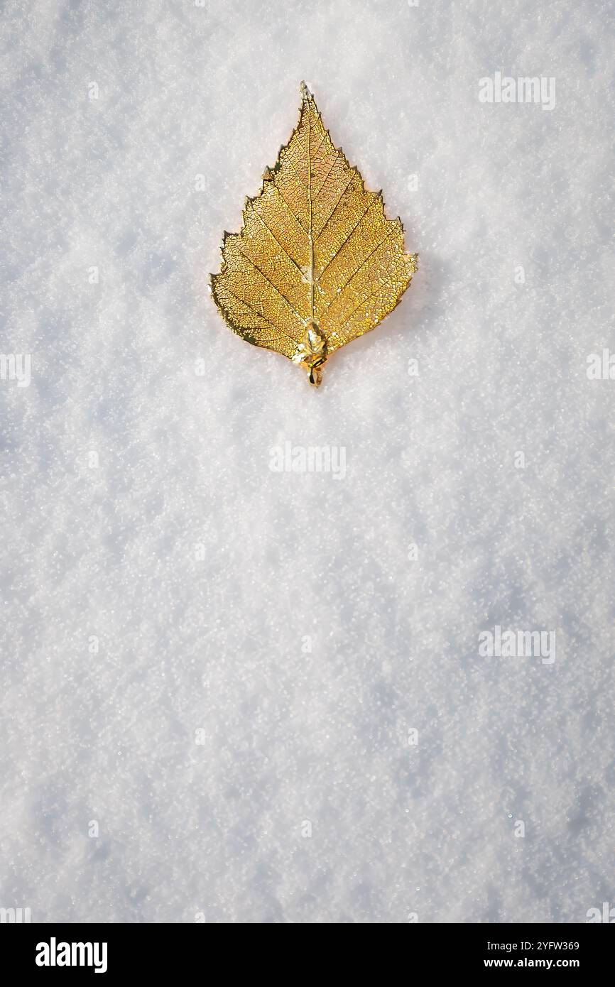 Gold leaf rests on fresh-fallen snow. Stock Photo