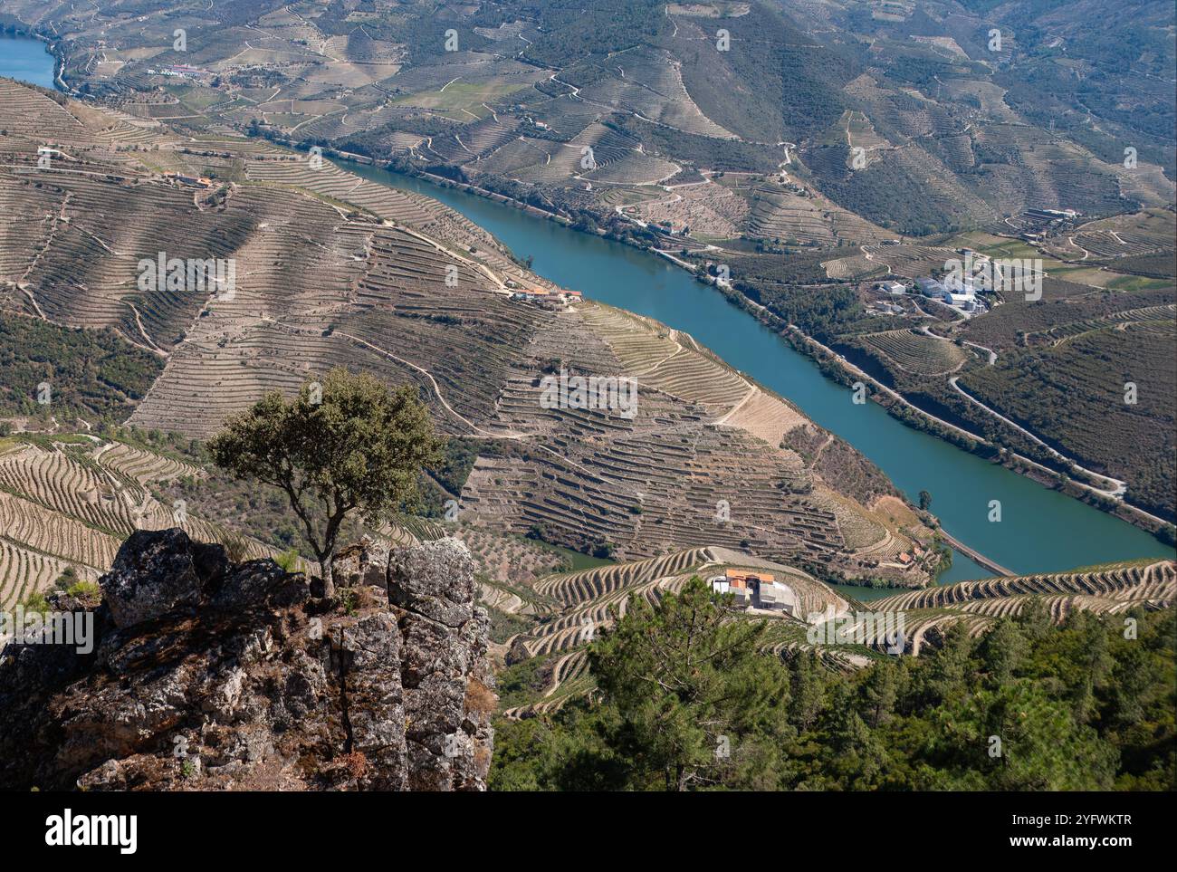 View over the Douro River, Portugal. Stock Photo