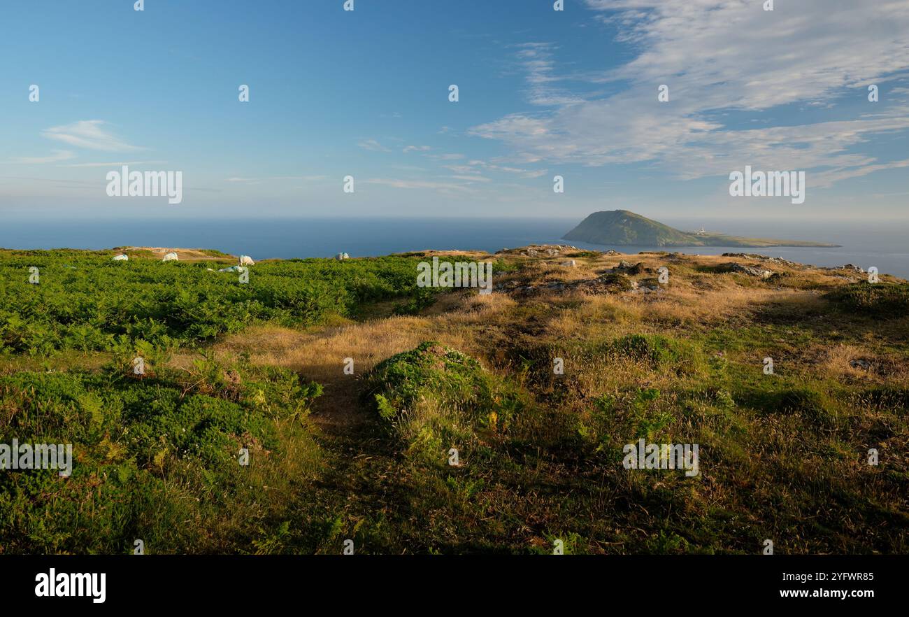 Bardsey island nature reserve hi-res stock photography and images - Alamy