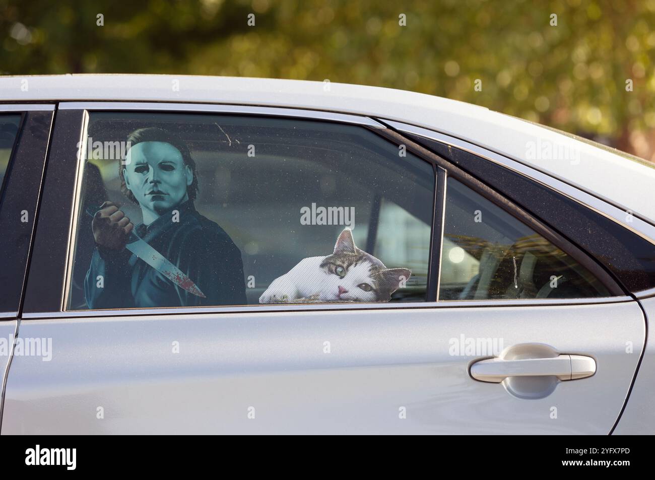 Cut out figure of the Michael Myers 'Halloween' movie character inside a car in the USA at Halloween time. Stock Photo