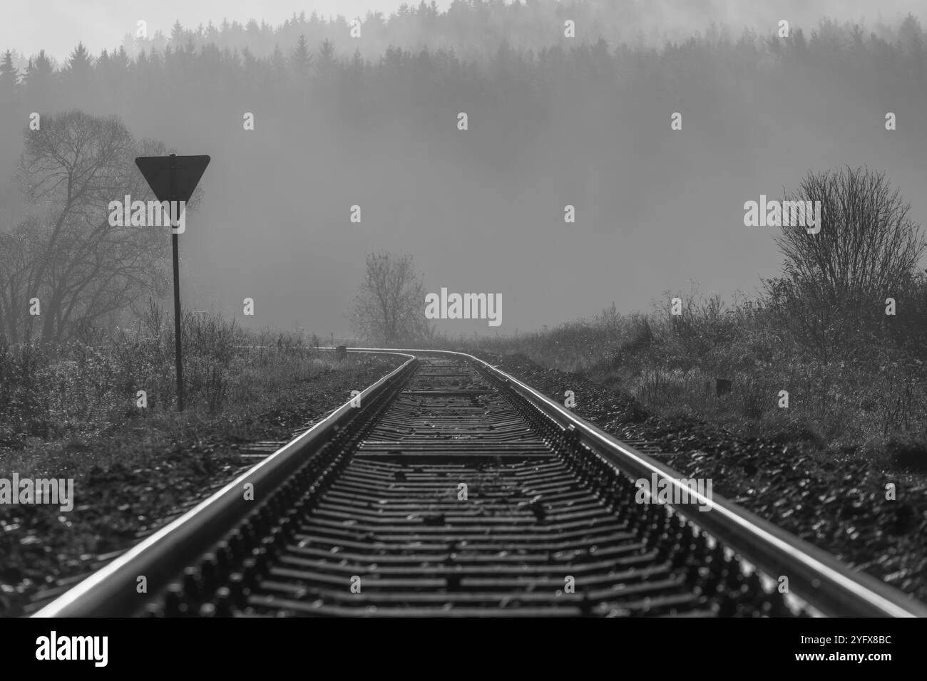 Railway track for engine unit passenger trains in autumn foggy cold ...