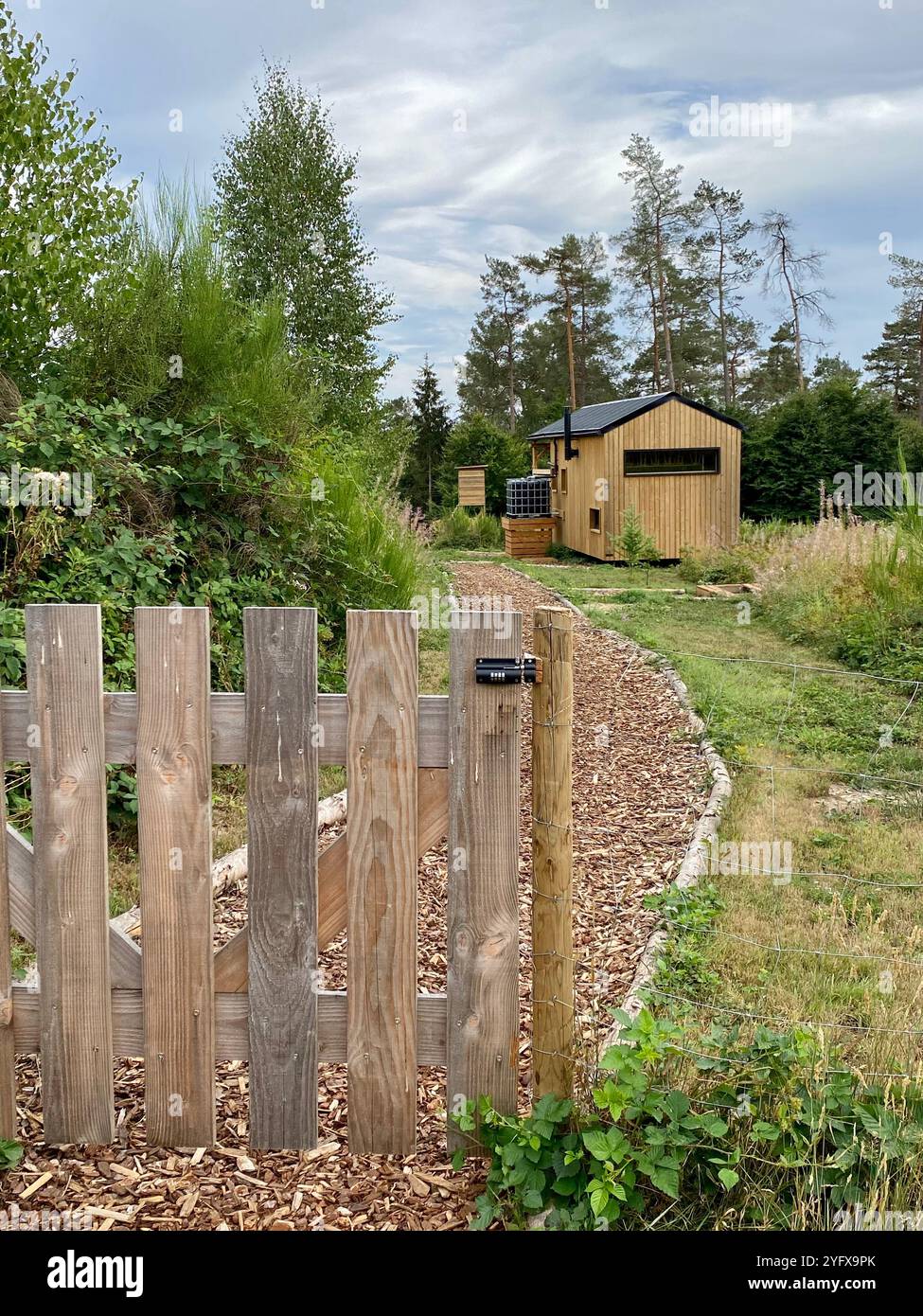 Cozy Wooden Tiny House, Cabin surounded by nature - Smartphone Captured Stock Image