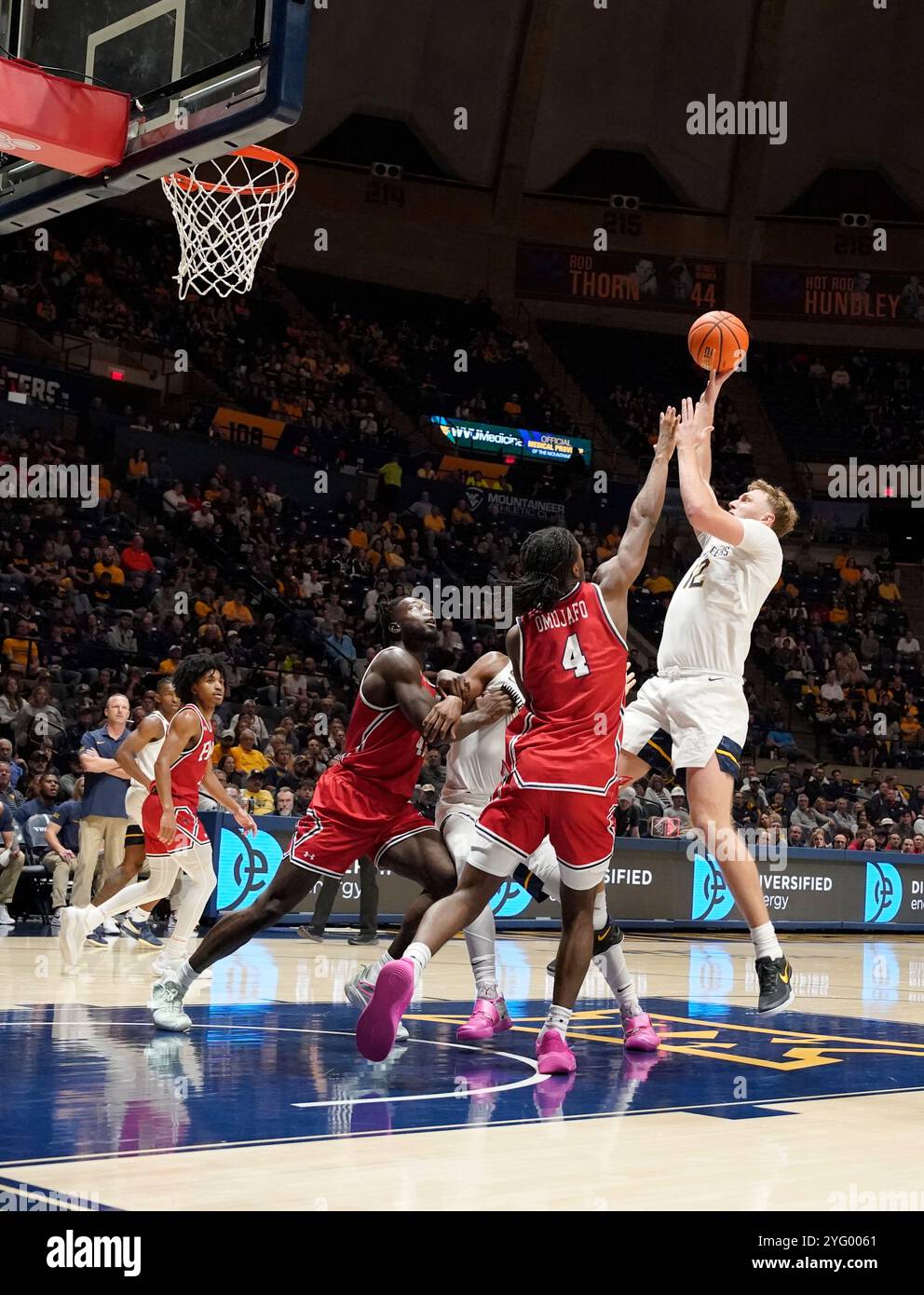 Morgantown, West Virginia, USA. 4th Nov, 2024. November 4, 2024: Tucker DeVries #12, Josh Omojafo #4, Amani Hansberry #13 and Ismael Plet #45 during the West Virginia University Mountaineers vs. Robert Morris University Colonials at the WVU Coliseum in Morgantown WV. Brook Ward/Apparent Media Group (Credit Image: © AMG/AMG via ZUMA Press Wire) EDITORIAL USAGE ONLY! Not for Commercial USAGE! Stock Photo