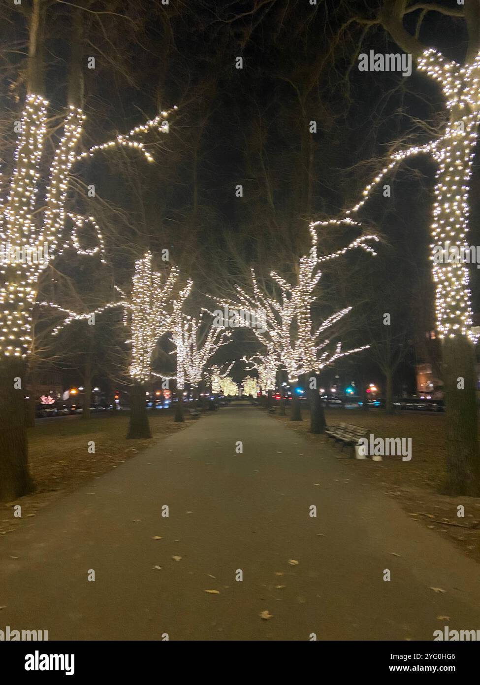 Nightwalk in Boston - Smartphone Captured Stock Image