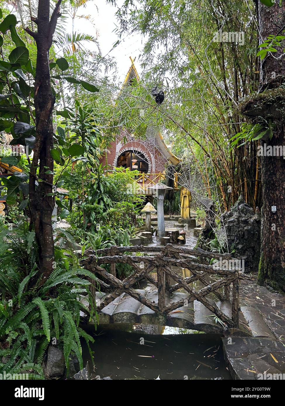 Serene bamboo bridge surrounded lush hi-res stock photography and ...