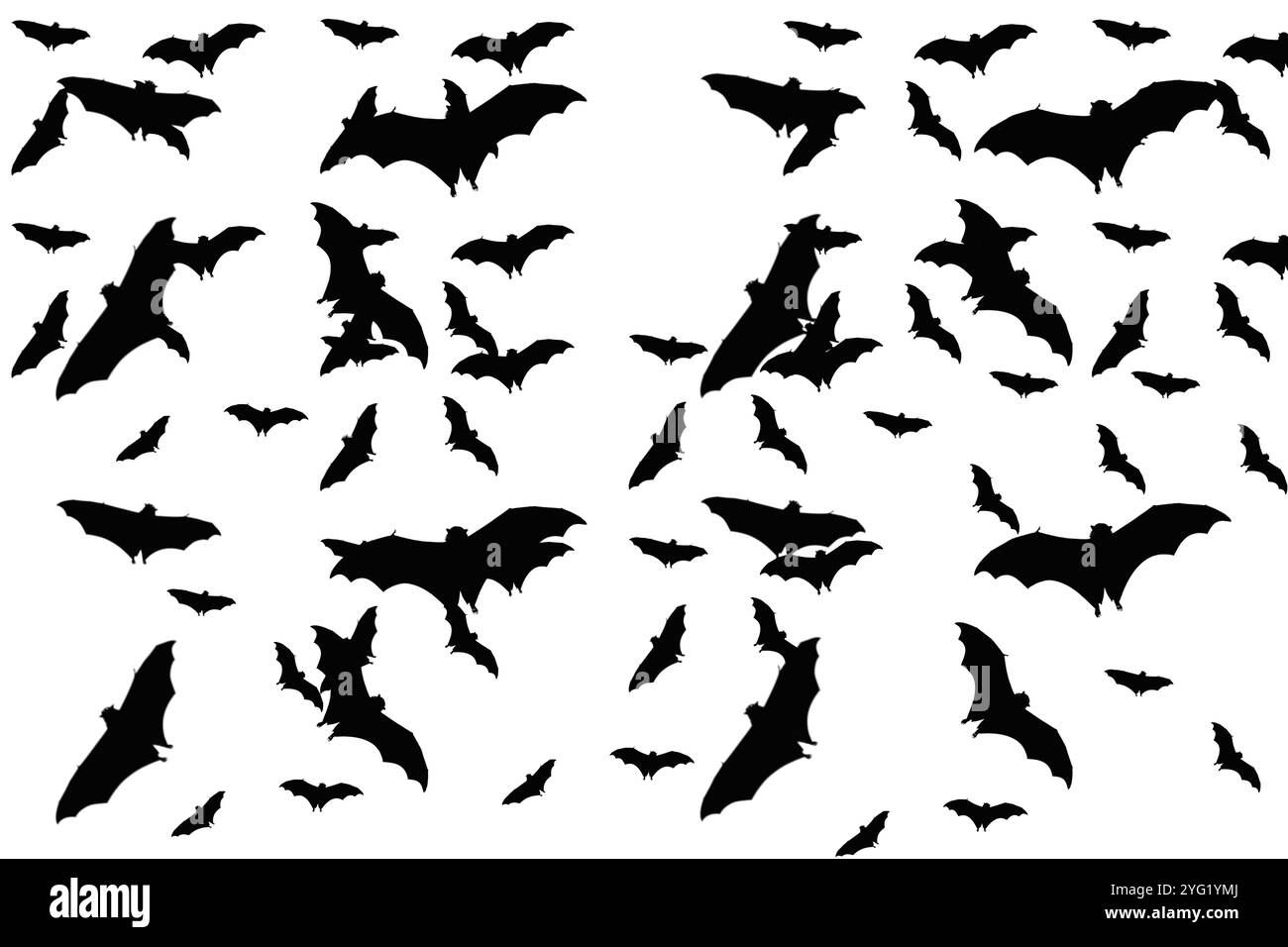 Black silhouettes of bats set on white background Stock Photo - Alamy