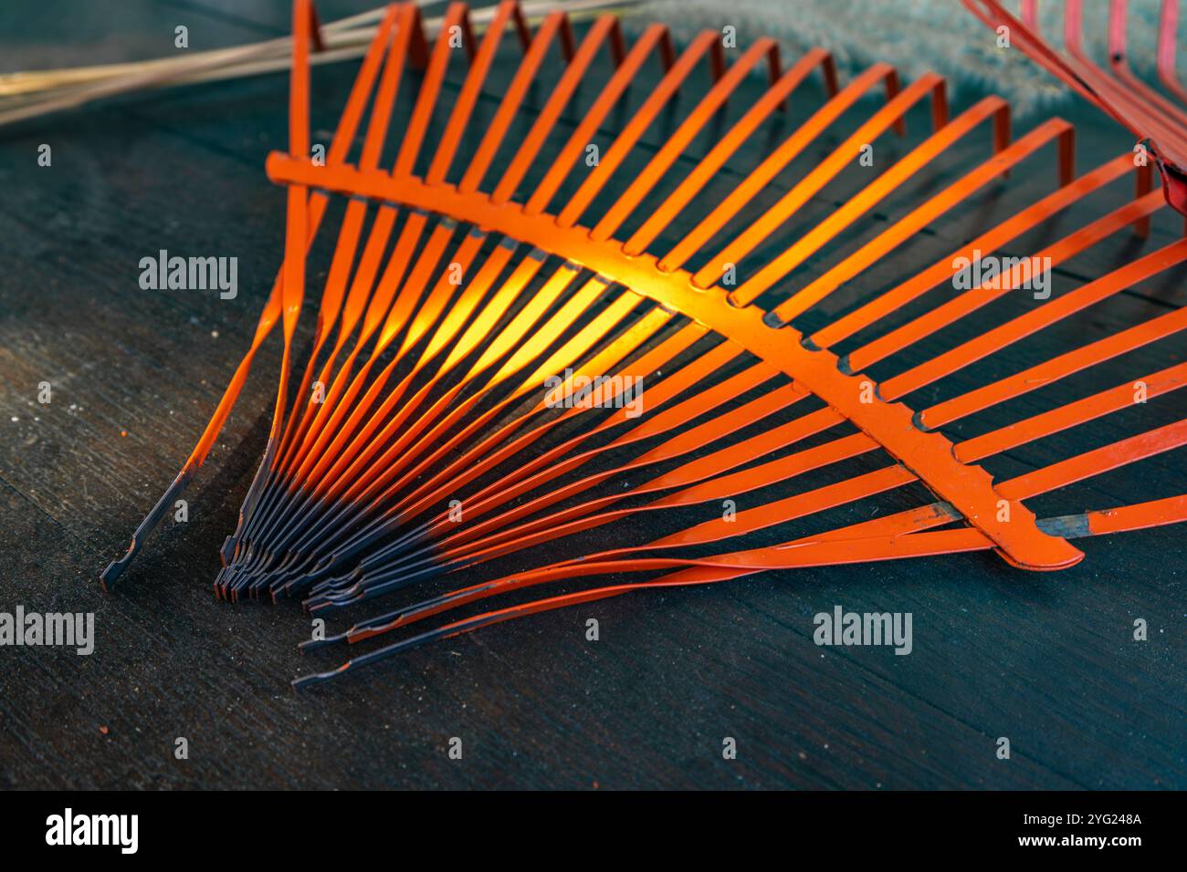 Repair of damaged red rakes for raking leaves and grass Stock Photo - Alamy
