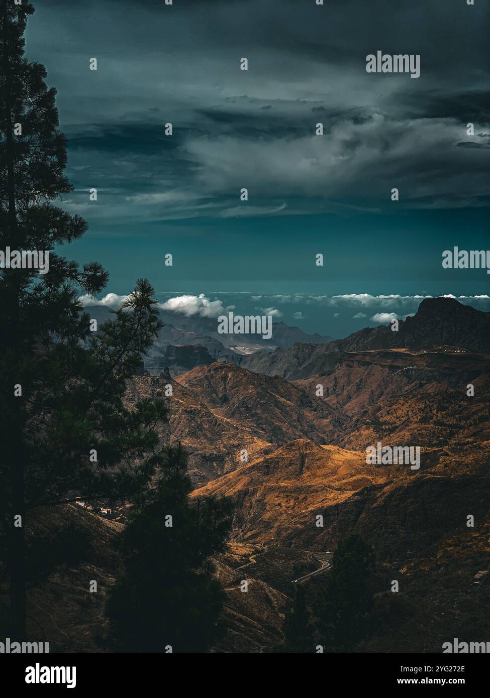 Mysterious Mountain Landscape with Trees - Smartphone Captured Stock Image Mysterious Mountain Landscape with Trees - Smartphone Captured Stock Image