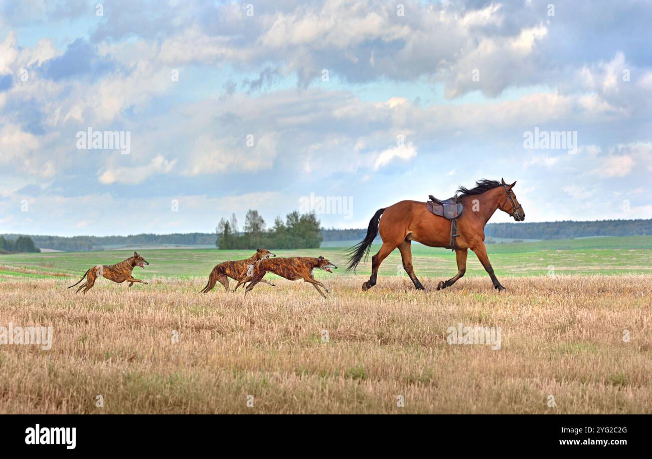 house on the hill ParentBag BrownHorse ② house on the hill Parent