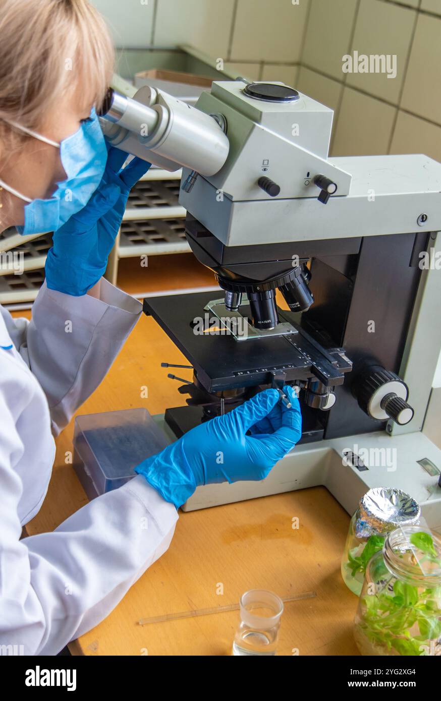 Examine in laboratory under microscope hi-res stock photography and ...