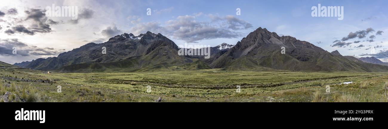 Peruvian highland vegetation, Kunka, Abra La Raya, Peru, South America Stock Photo