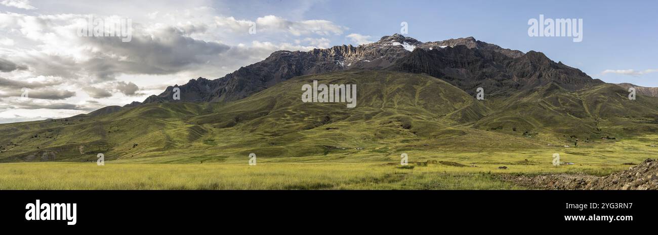 Peruvian highland vegetation, Kunka, Abra La Raya, Peru, South America Stock Photo