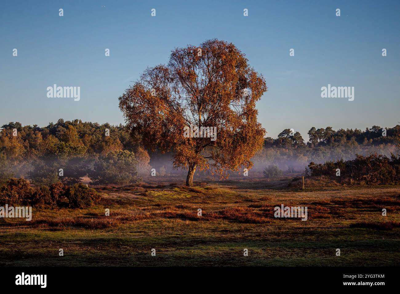 Autumnal Scenes Stock Photo