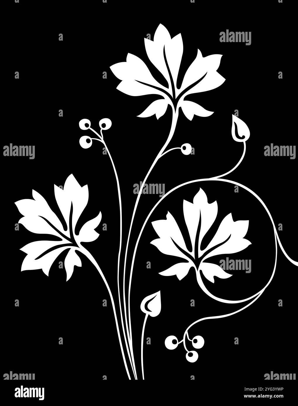 Floral texture design Black and White Stock Photos & Images - Alamy