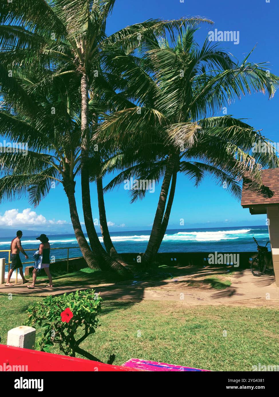 Sunset Hawaii with Musicians at lūʻau on Maui - Smartphone Captured Stock Image