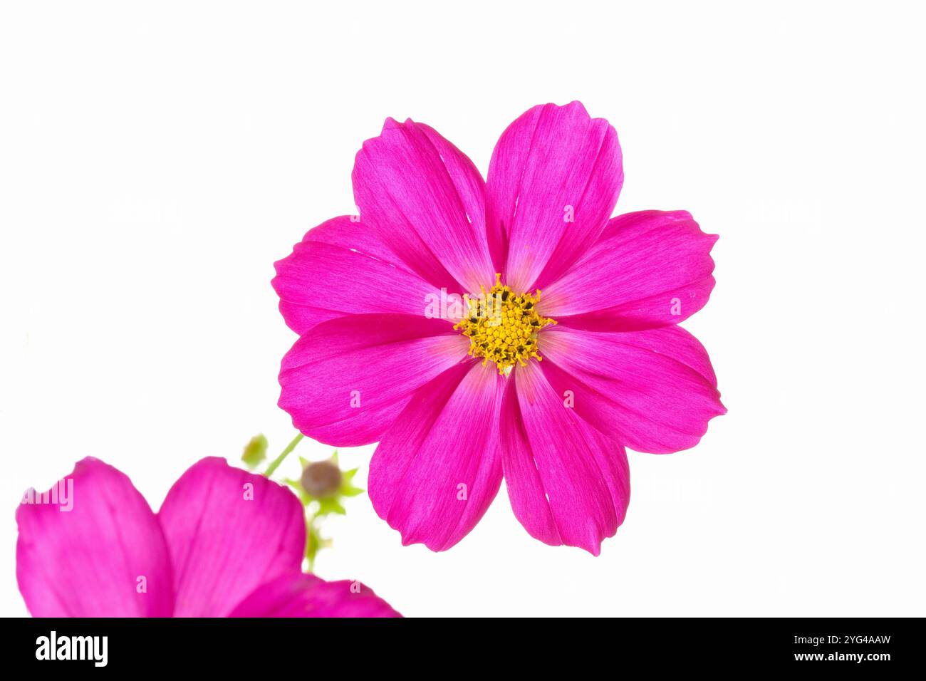 Early fall Cut Out Stock Images & Pictures - Alamy