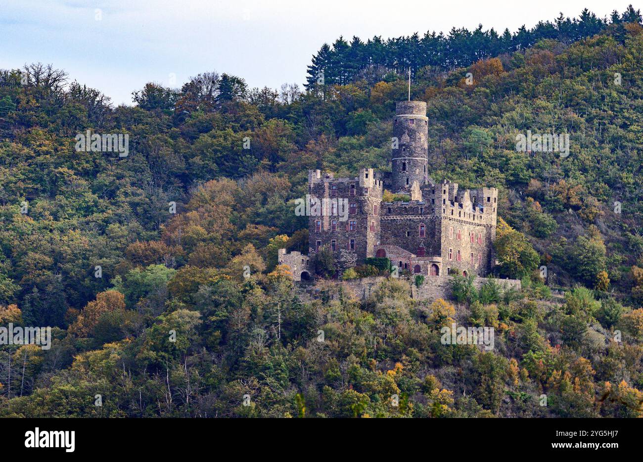 Maus Castle in the town Wellmich on the eastern side of Rhine River (Sankt Goarshausen, Rheinland-Palatinate) Germany. Stock Photo