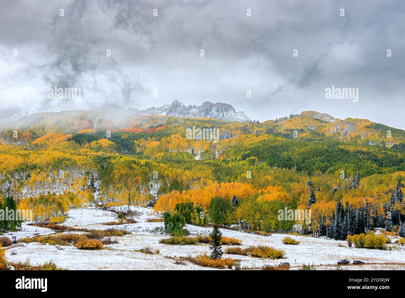 Fall Color along  Kebler Pass, Colorado. USA Stock Photo