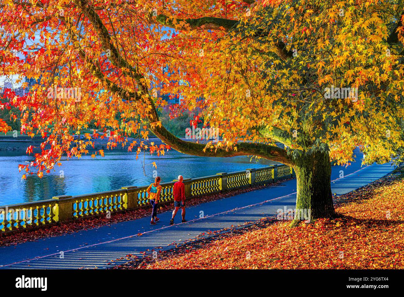 Couple walking the sea wall, Fall colour,, Stanley Park, Vancouver, British Columbia, Canada Stock Photo