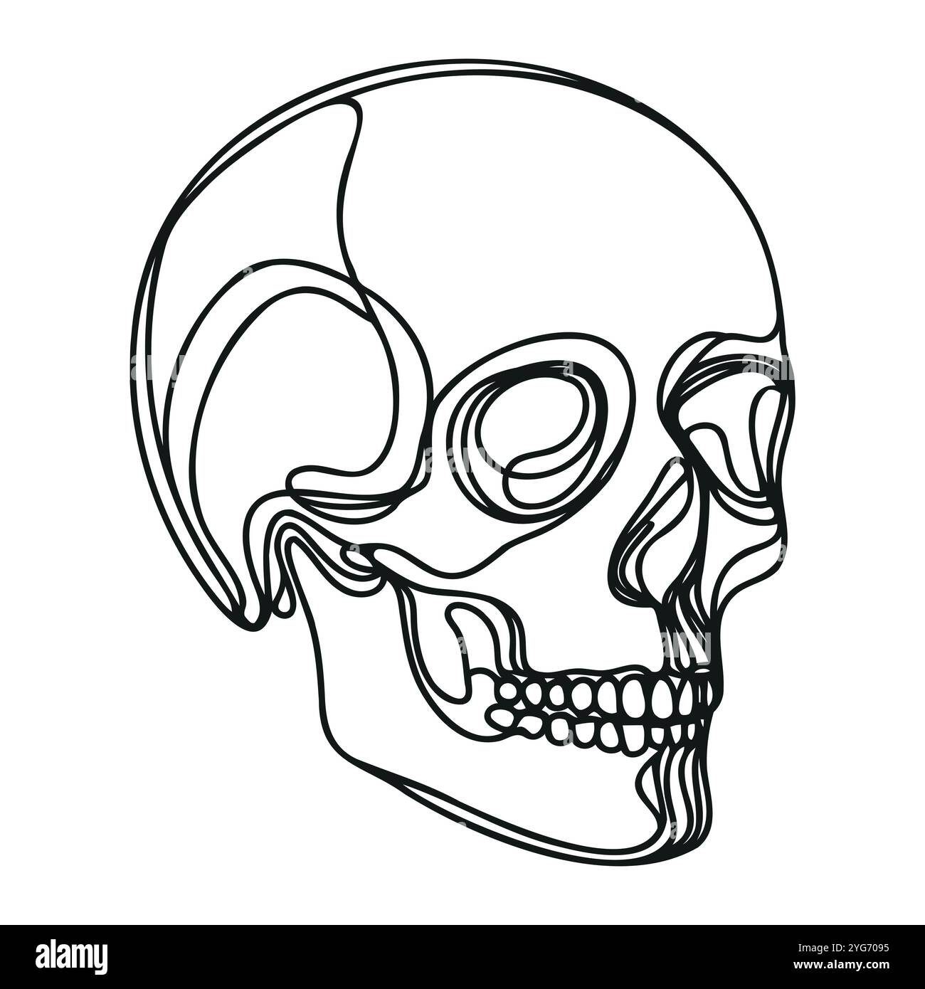 Human scull. One line continuous Halloween skull isolated on white ...