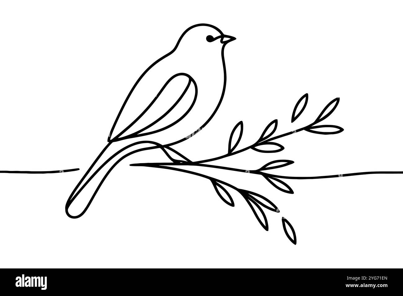 Line tree branch Stock Vector Images - Alamy