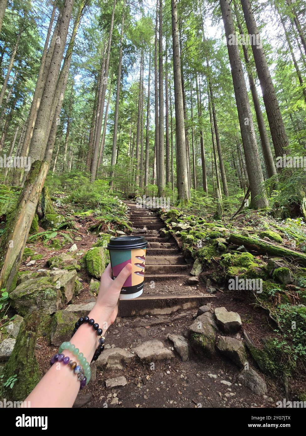Amazing view from Canadian mountains - Smartphone Captured Stock Image