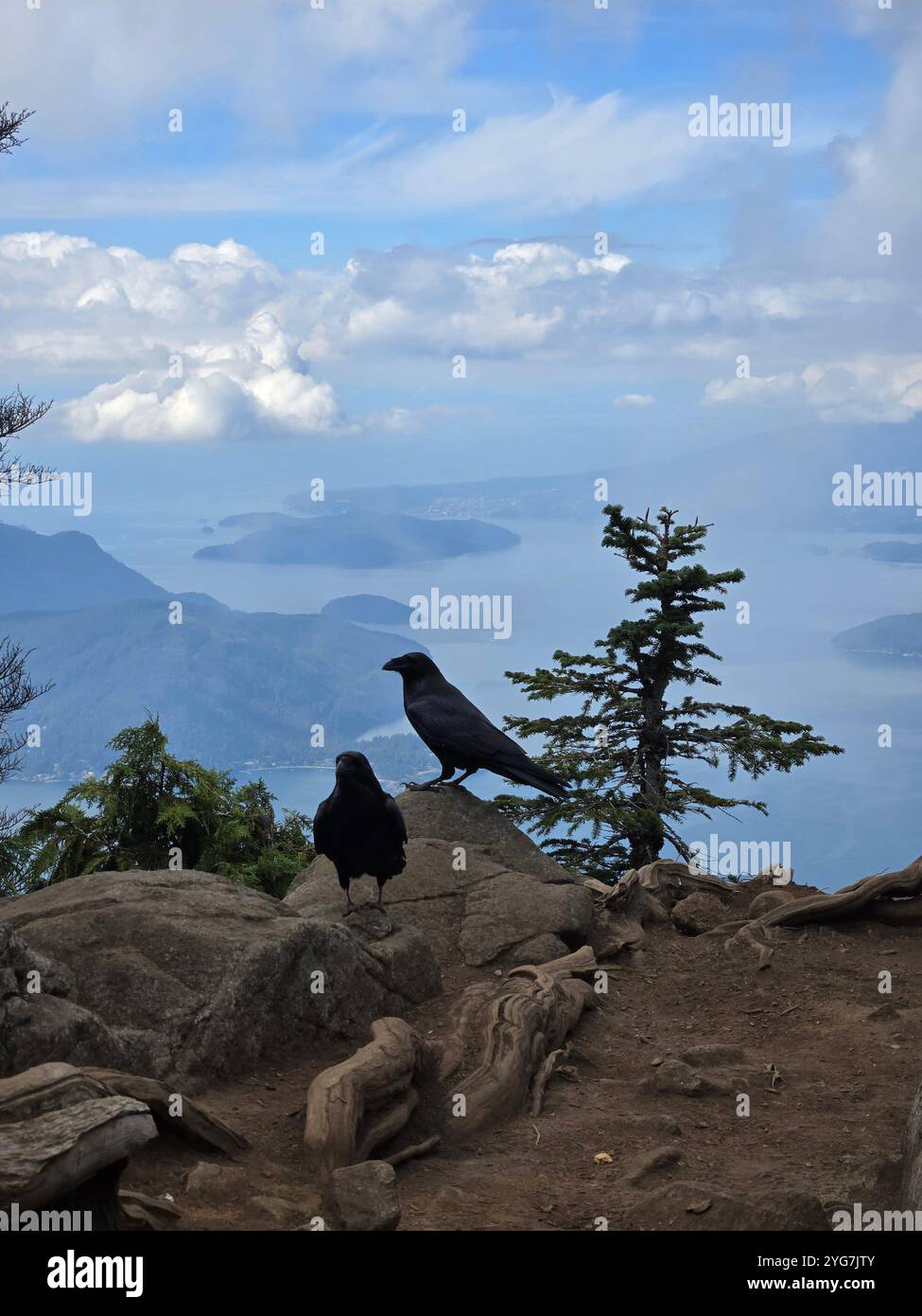 Amazing view from Canadian mountains - Smartphone Captured Stock Image