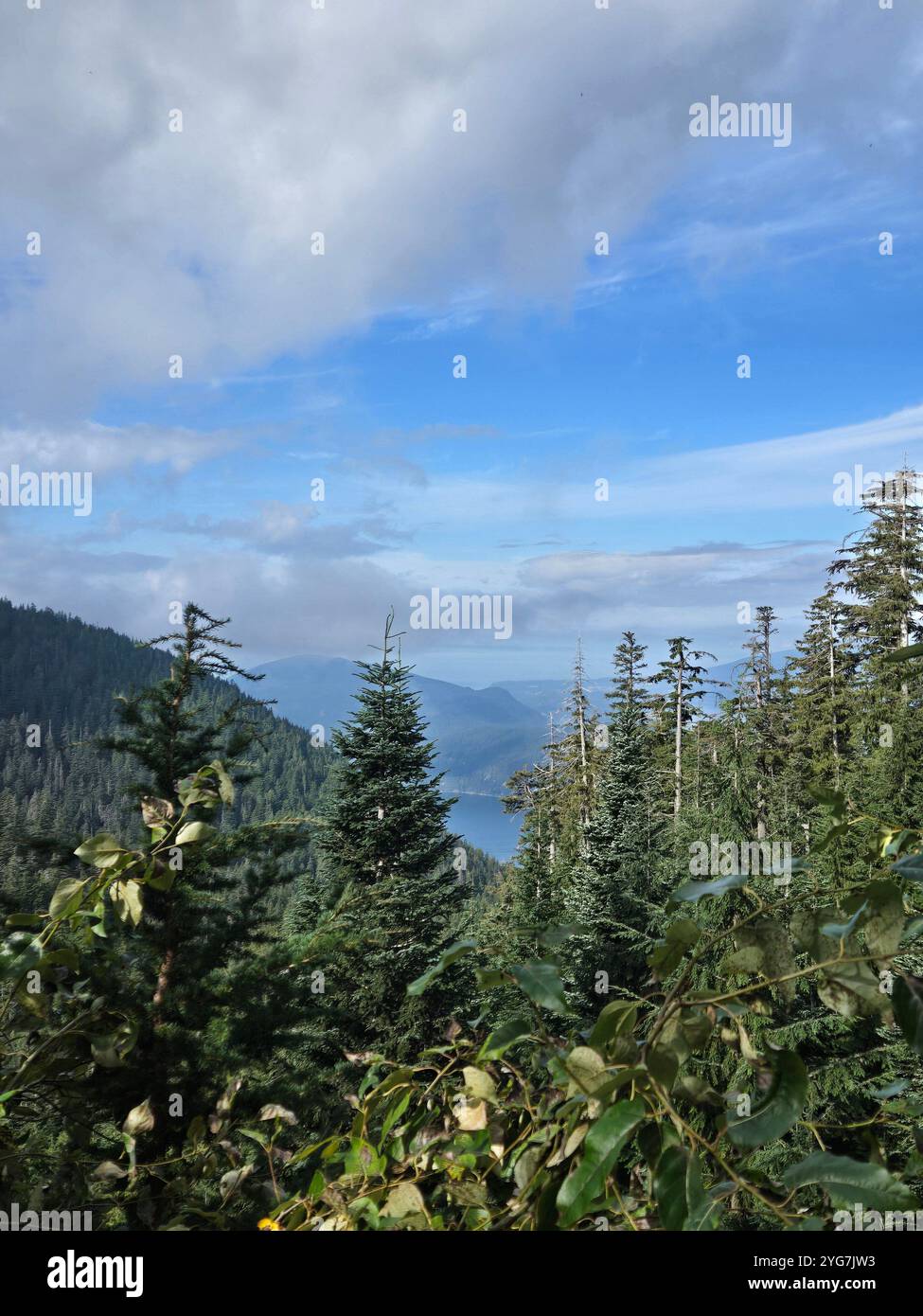 Amazing view from Canadian mountains - Smartphone Captured Stock Image