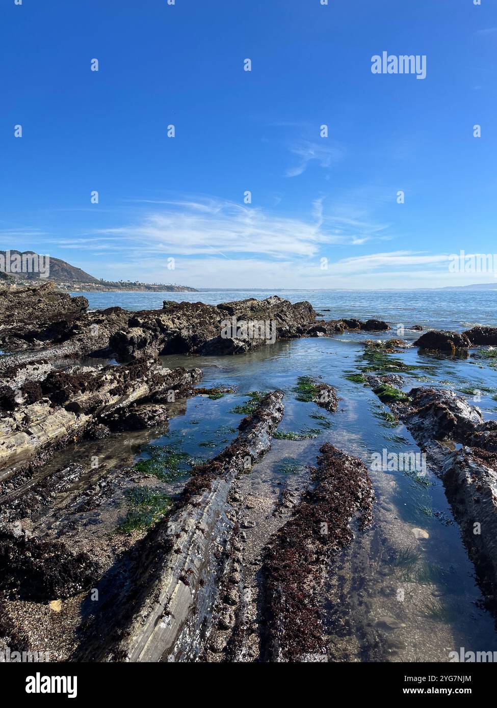Rocky Beach Ocean Pictures Happy Vibes - Smartphone Captured Stock Image