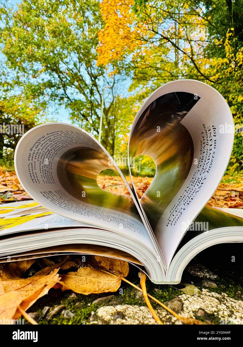 An open book with pages delicately folded into the shape of a heart, framed by the vibrant colors of autumn leaves and a backdrop of golden trees. - Smartphone Captured Stock Image