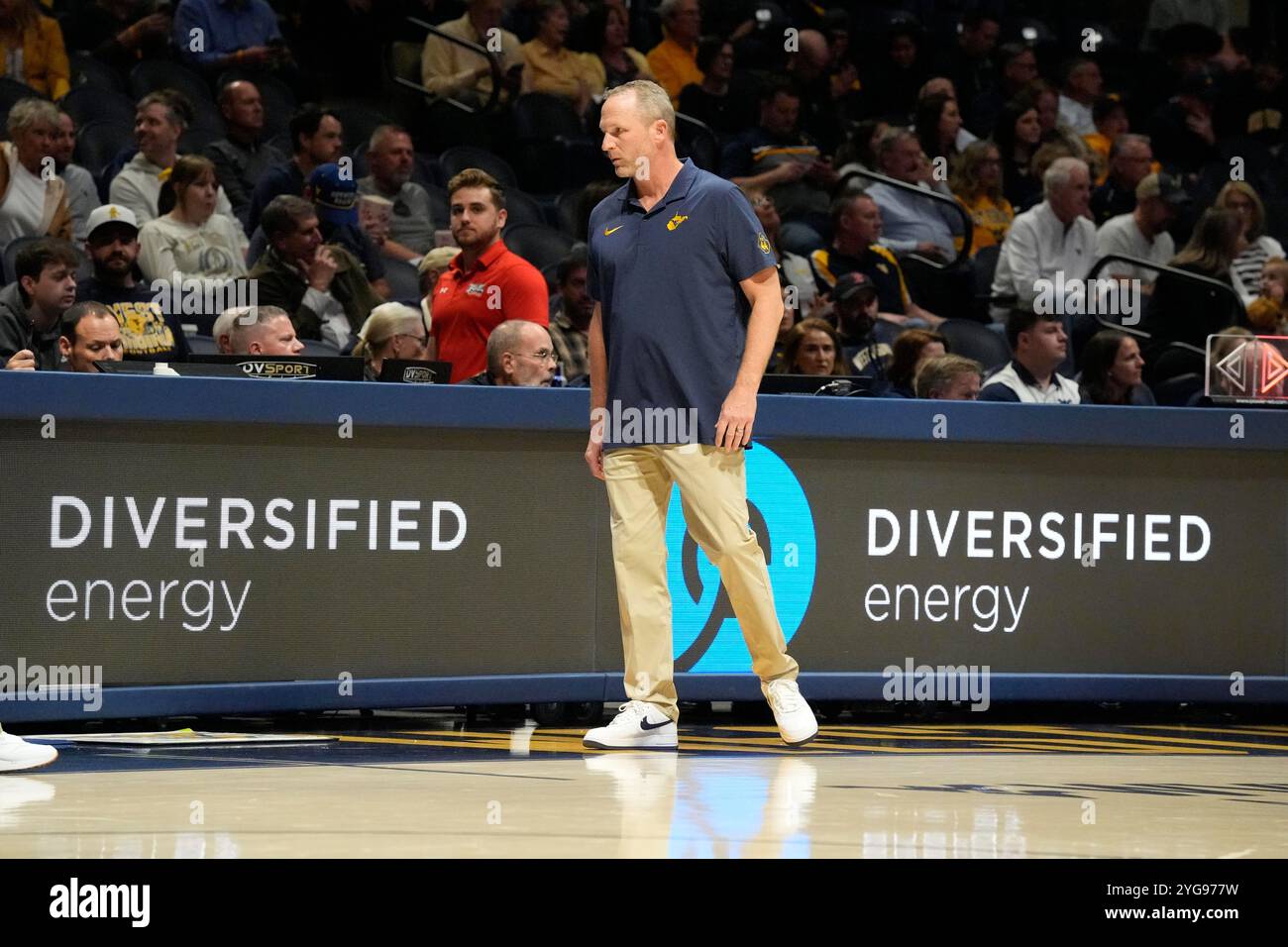 Morgantown, West Virginia, USA. 4th Nov, 2024. November 4, 2024: Darian DeVries Head Coach during the West Virginia University Mountaineers vs. Robert Morris University Colonials at the WVU Coliseum in Morgantown WV. Brook Ward/Apparent Media Group (Credit Image: © AMG/AMG via ZUMA Press Wire) EDITORIAL USAGE ONLY! Not for Commercial USAGE! Stock Photo