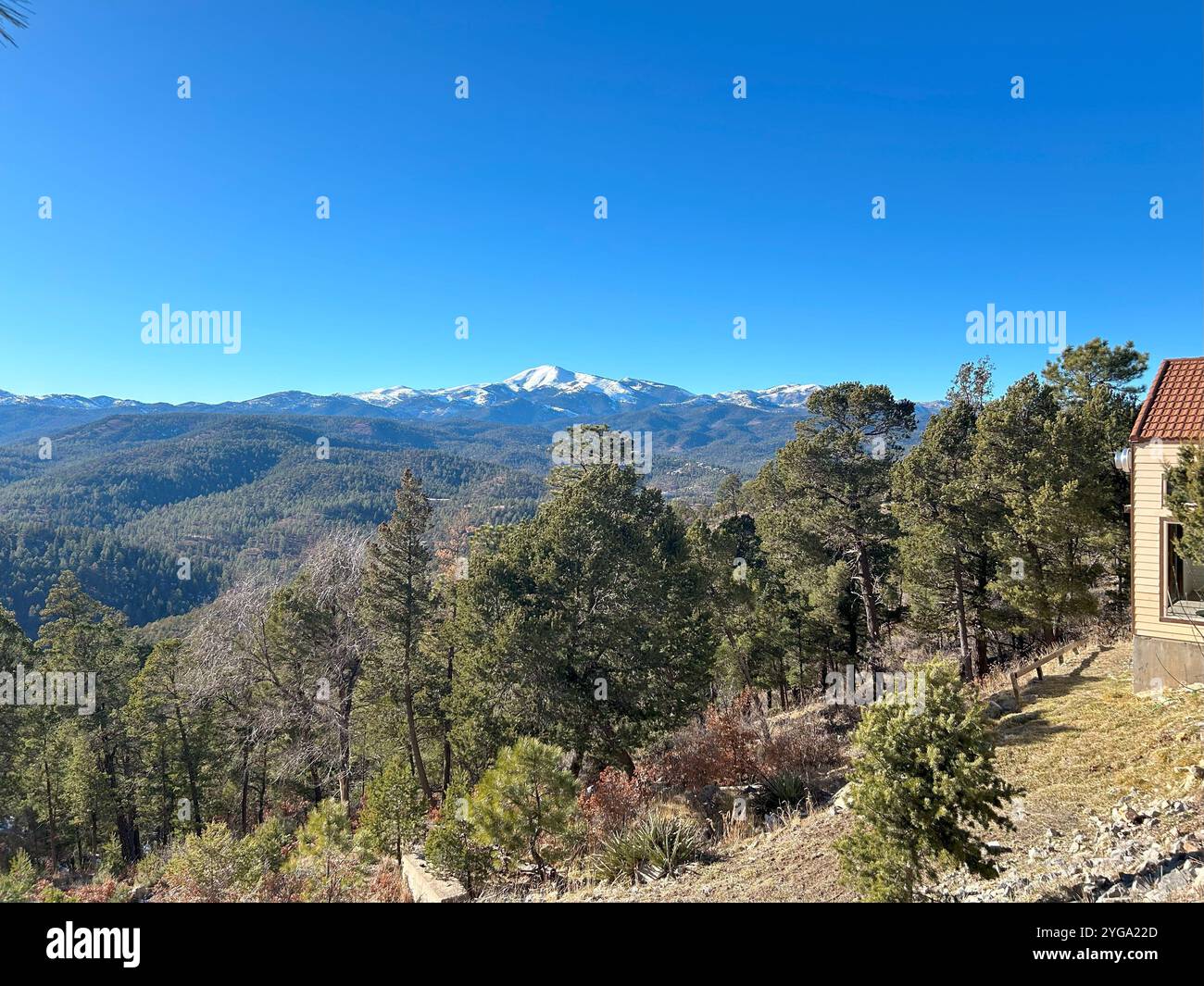 beautiful and serene essence of a snow-capped mountain range and its surrounding pine forest, highlighting the natural beauty and adventure it offers. - Smartphone Captured Stock Image