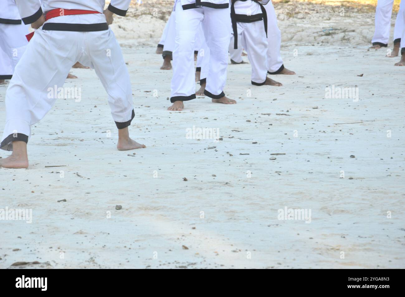 Malay martial art black and white hi-res stock photography and images ...