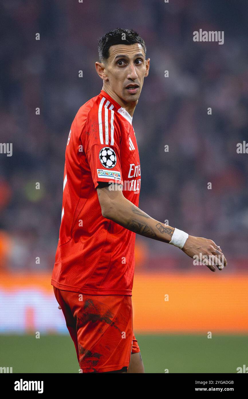 Flocage Di Maria #11 Benfica Extérieur 2024-2025 - Neuf - Fabriqué France