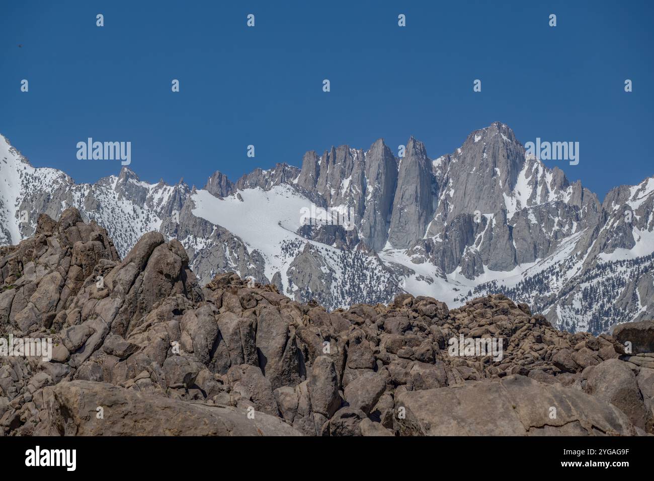 Mt. Whitney, tallest mountain in the contiguous United States, looms