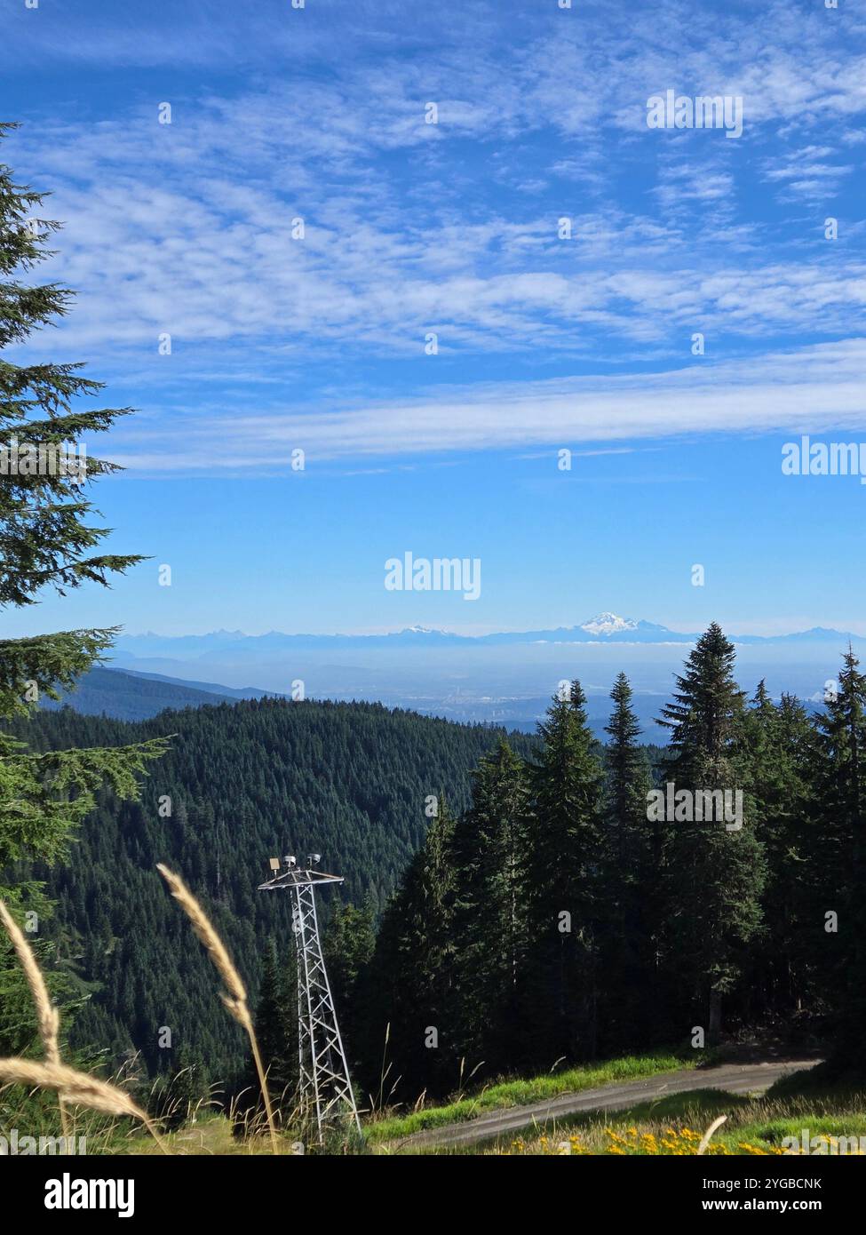 Spectacular hiking time around Canadian mountains - Smartphone Captured Stock Image