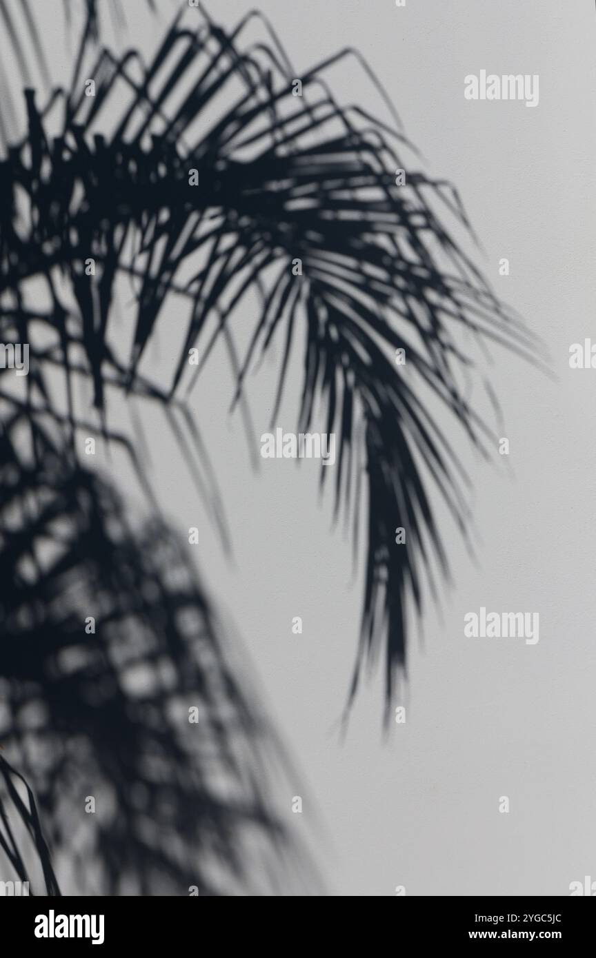 Minimalist dance silhouettes hi-res stock photography and images - Alamy
