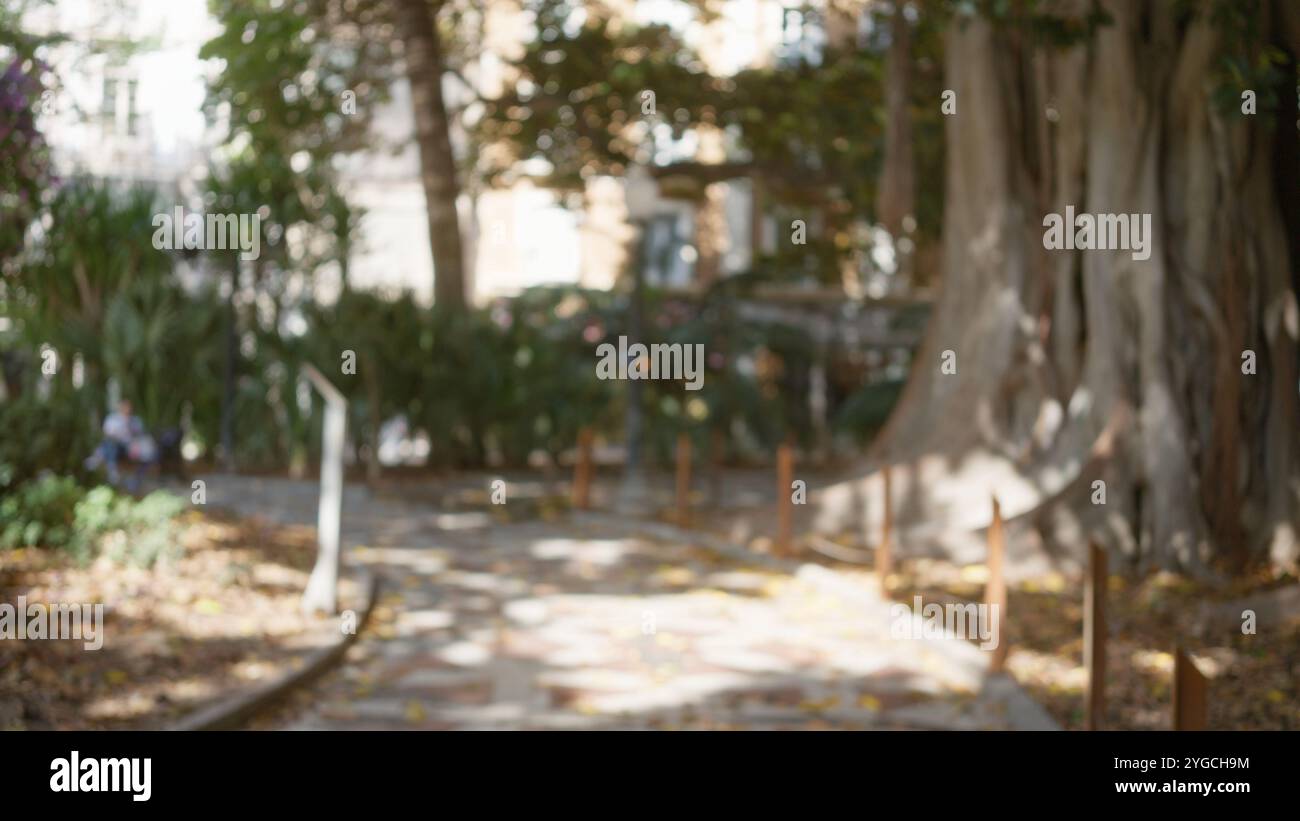 Blurred outdoor scene with defocused background featuring park path ...