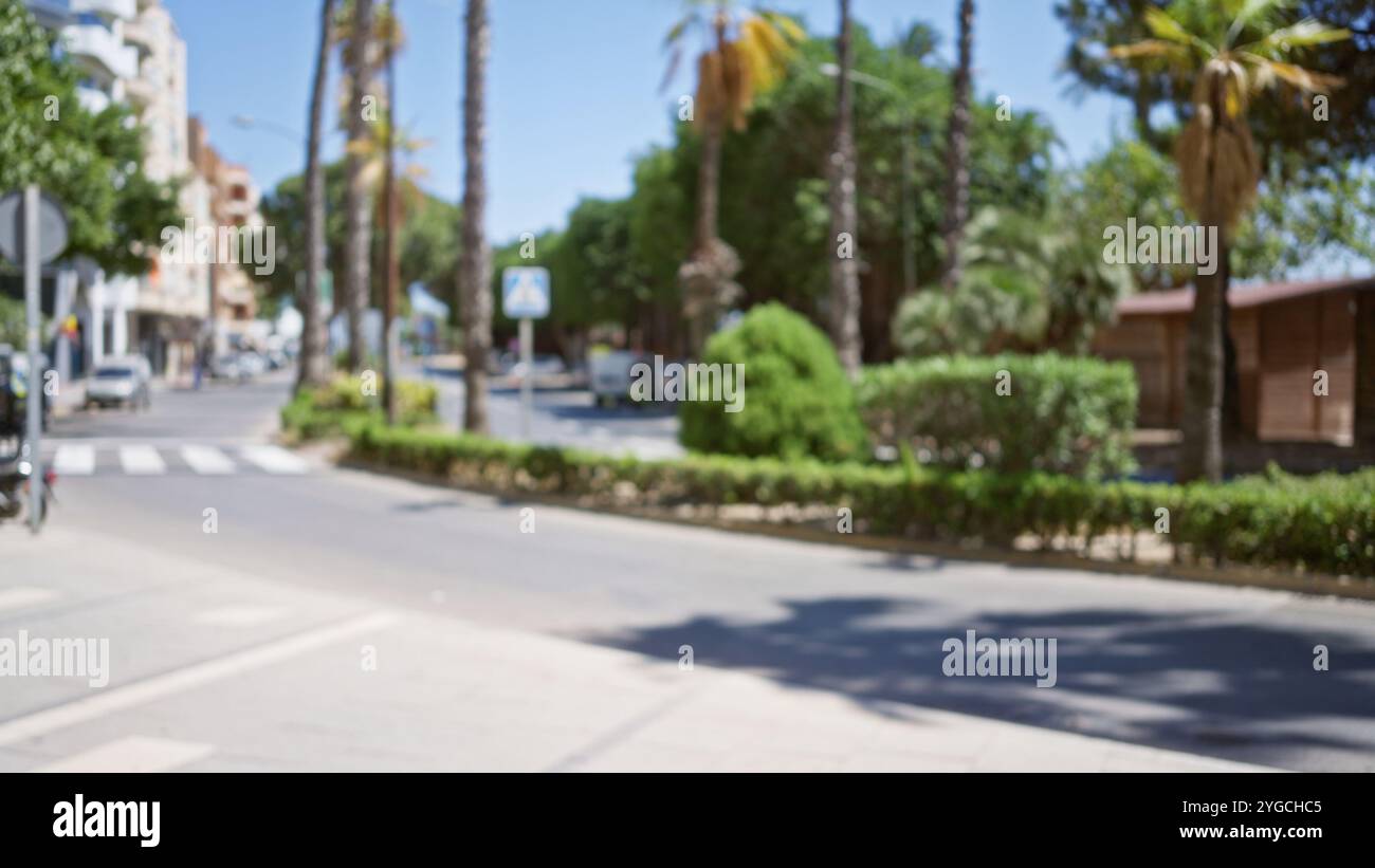 Crosswalk under palm trees hi-res stock photography and images - Alamy