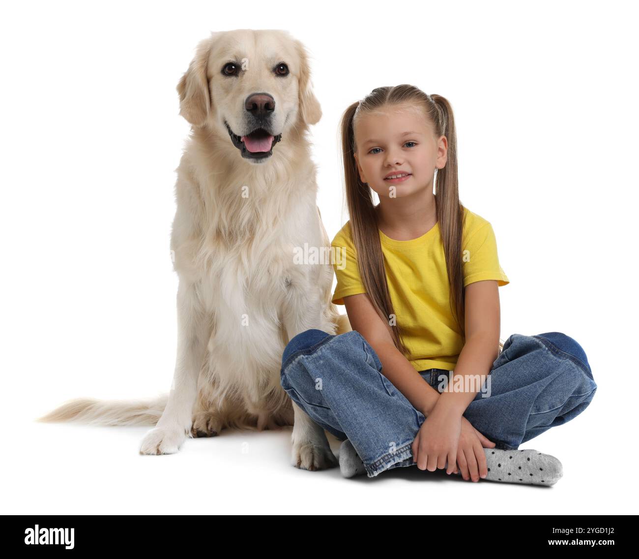 Girl with her cute Golden Retriever dog on white background Stock Photo ...