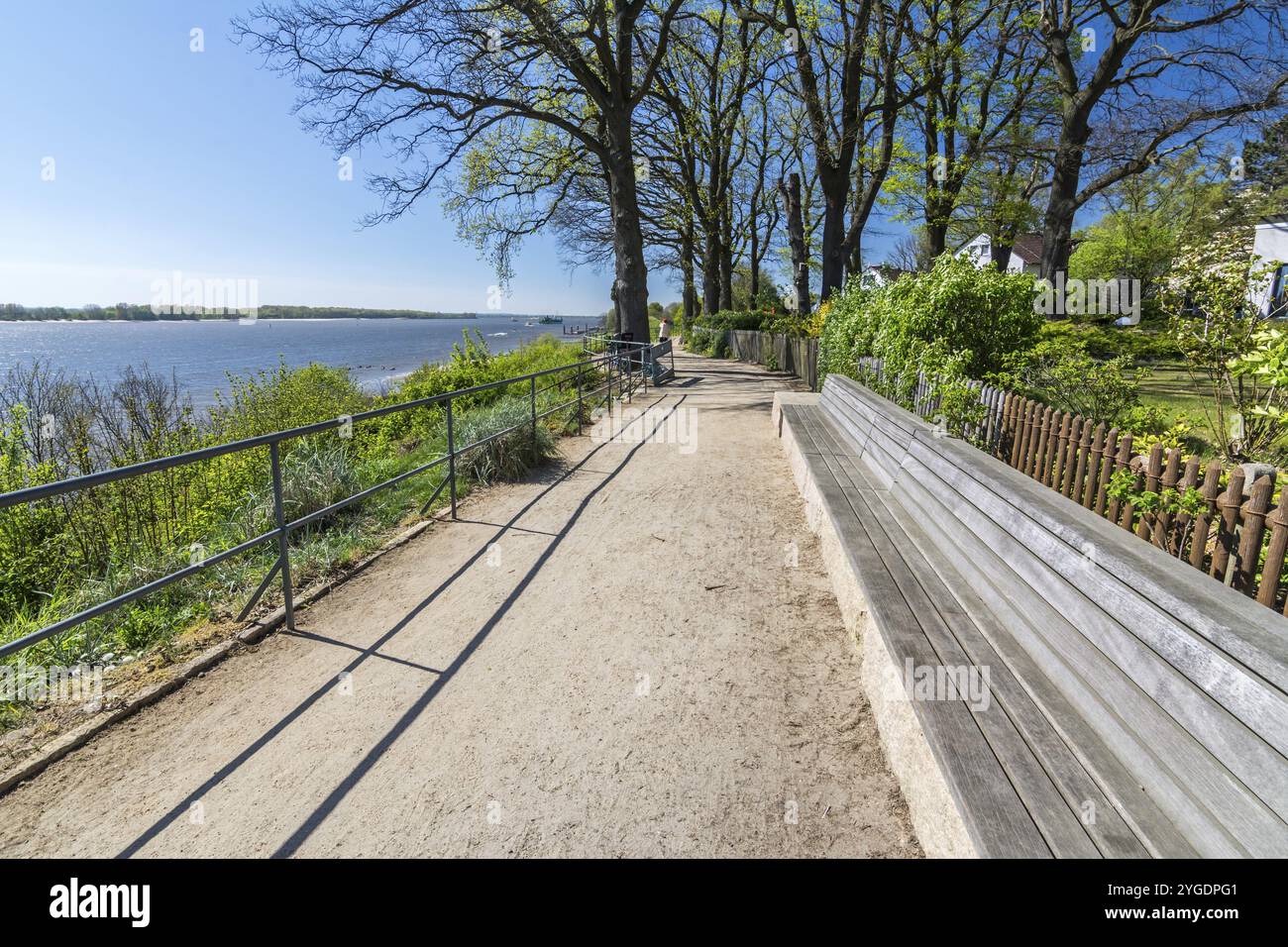 Bench in idyllic park on the banks of the Elbe river Stock Photo