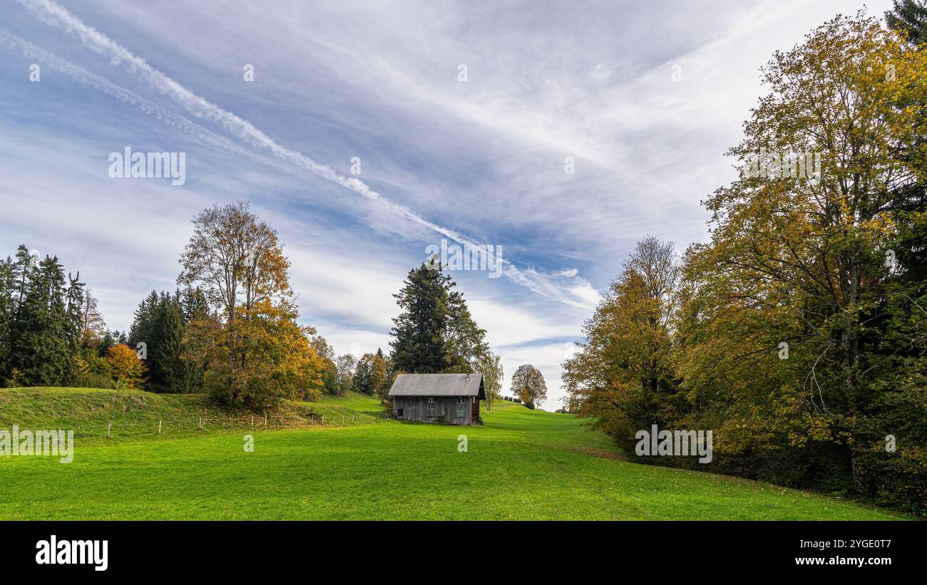 wooden holiday house under autumnal colored tree on a meadow with sea of fog in background over Rhein valley, beautiful evening in Vorarlberg, Austria Stock Photo
