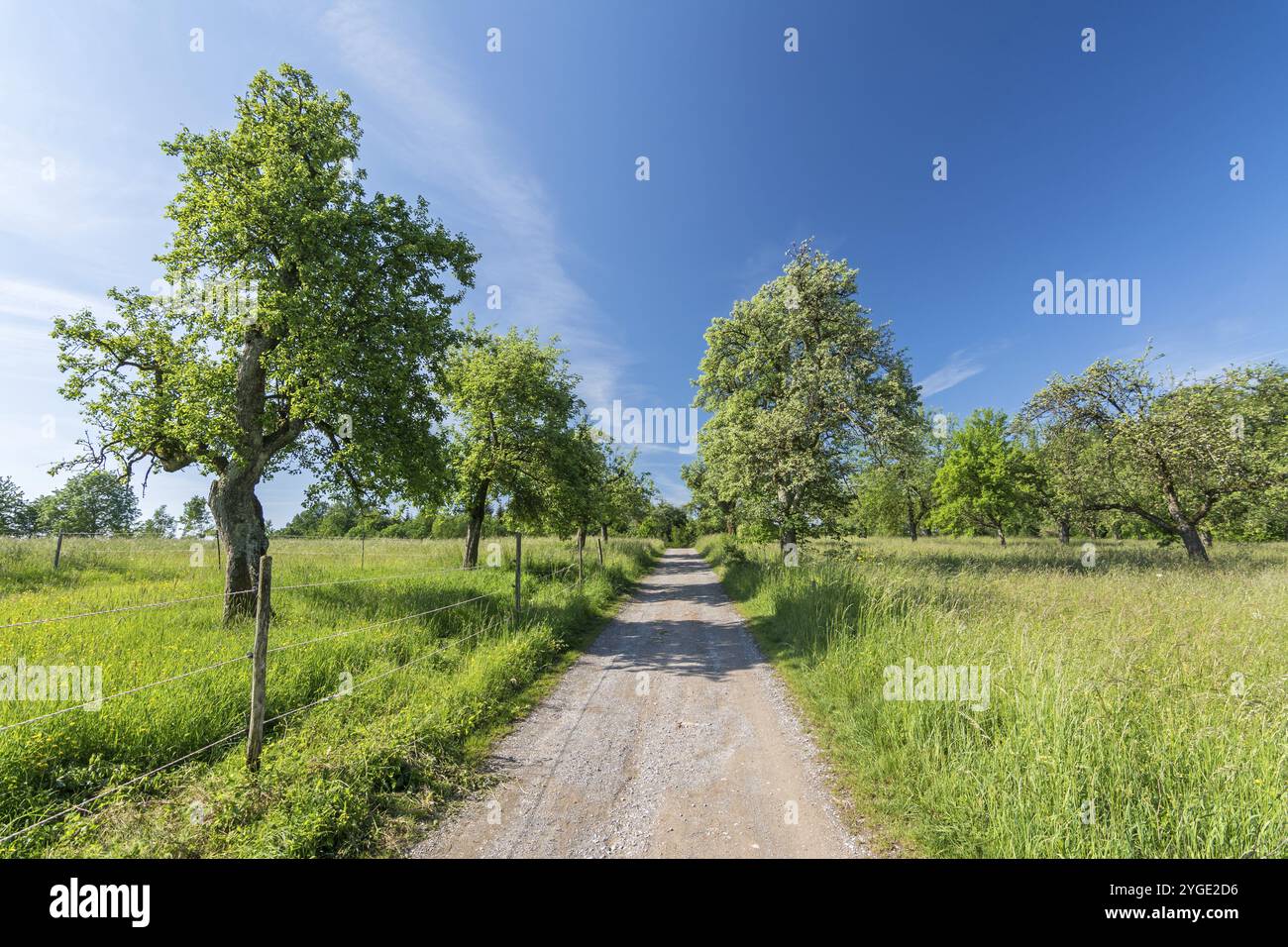 Beautiful shot foot trail hi-res stock photography and images - Alamy