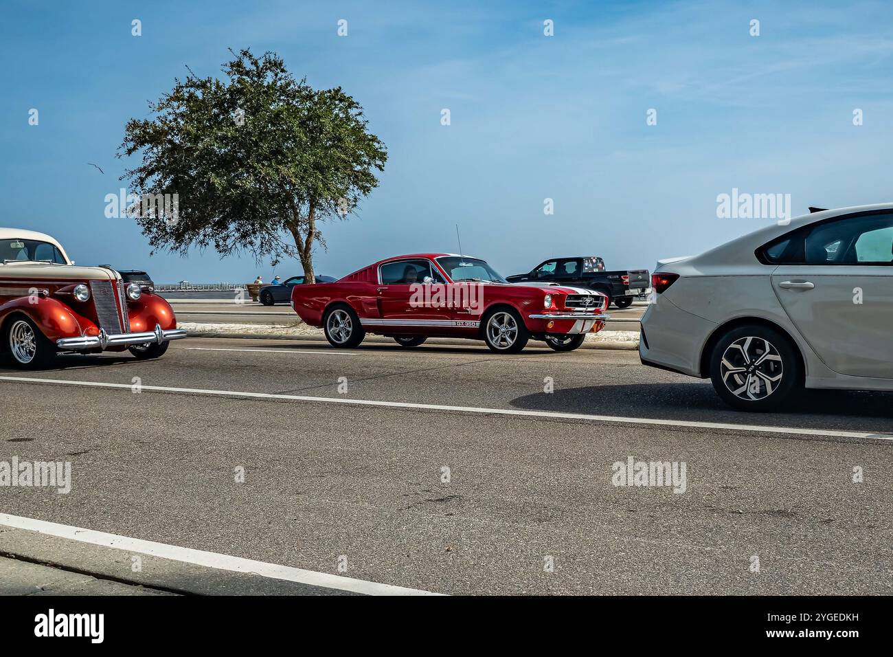 Gulfport, MS - October 04, 2023: Wide angle front corner view of a 1965 Ford Shelby GT 350 Fastback Coupe at a local car show. Stock Photo